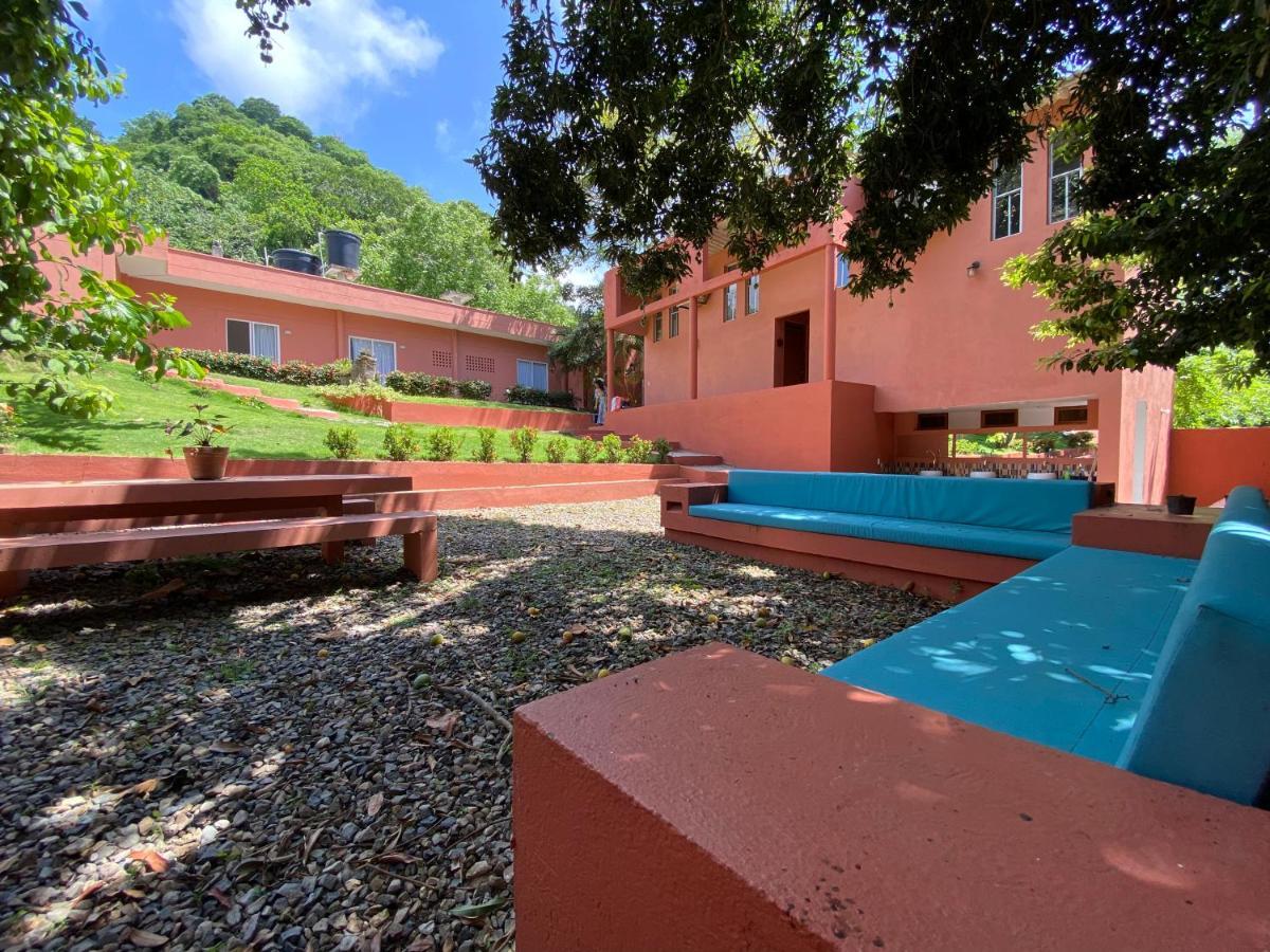 Color Hostel Паломино Экстерьер фото