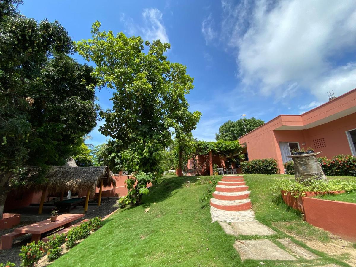 Color Hostel Паломино Экстерьер фото