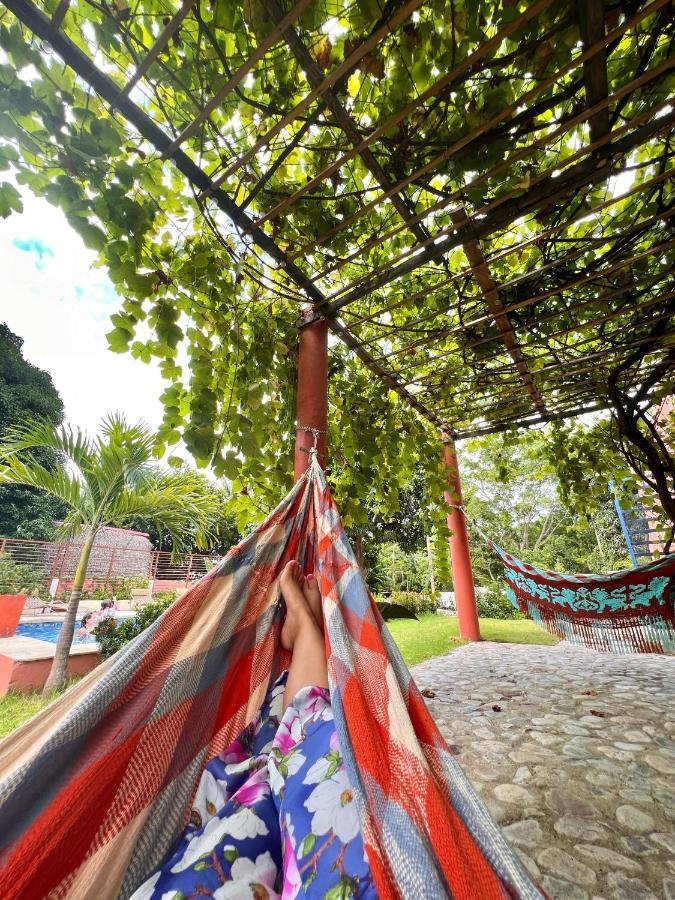Color Hostel Паломино Экстерьер фото